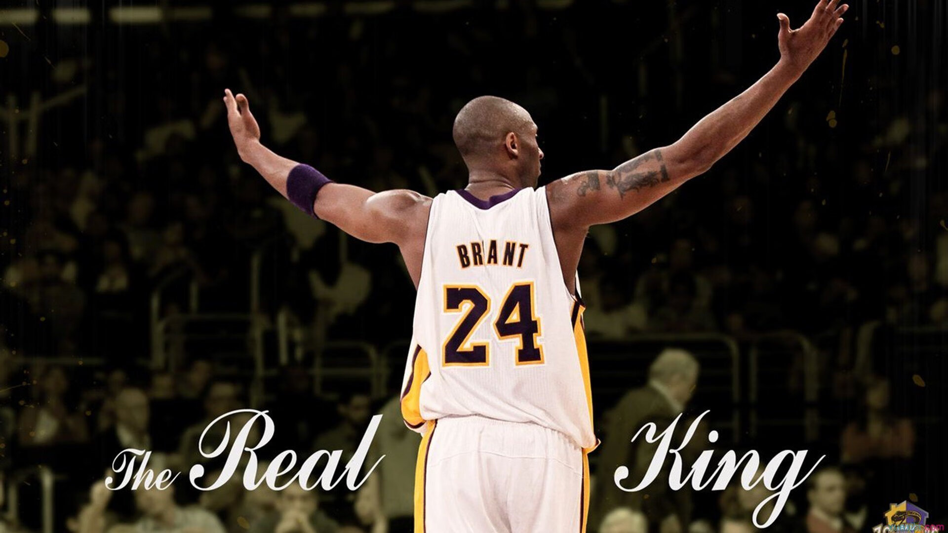 九游.中国官网-NBA球员比赛中的心理调适与表现关系研究，nba球员性格