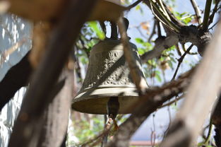 九游娱乐-NBA球员转会市场动态，nba转会名单